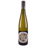 Astrolabe - Pinot gris