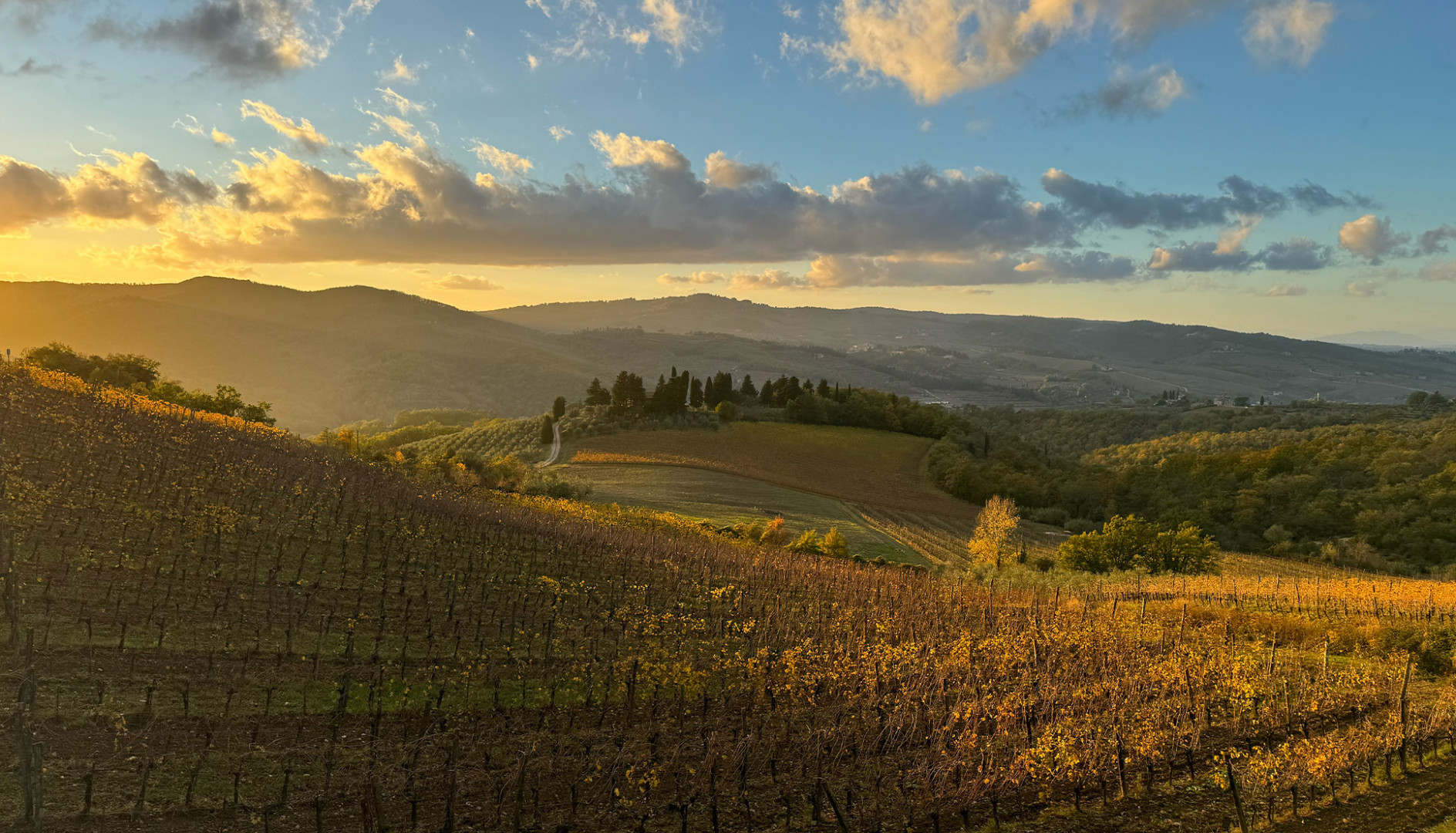 Querciabella: príbeh vinárstva a vína z Toskánska